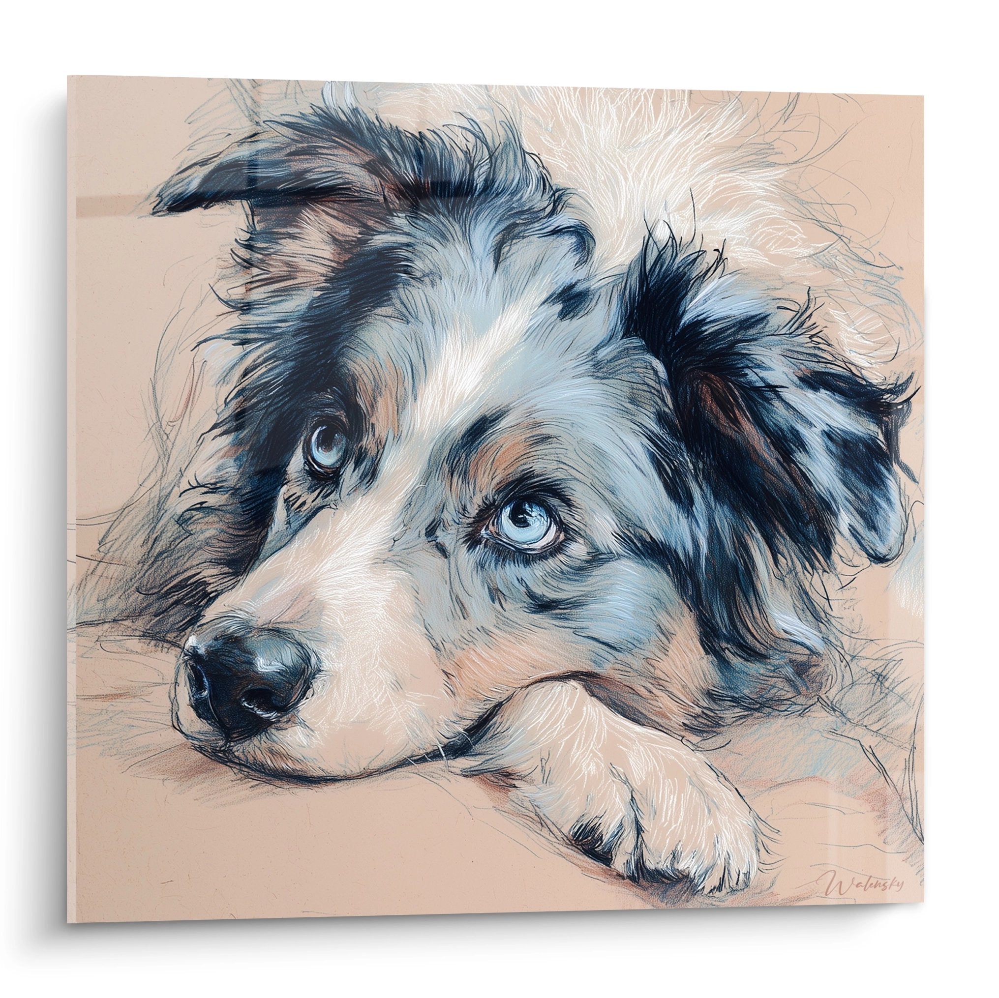 Portrait of Blue-Eyed Australian Shepherd on Beige Background, Head in Resting Position, Artistic Pastel Style