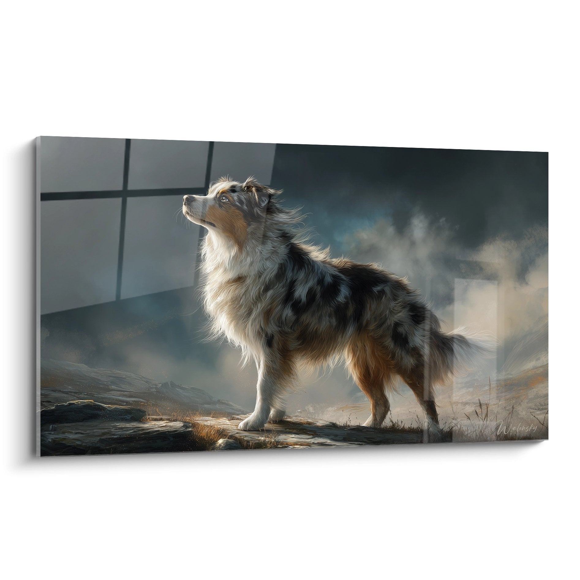 Tricolour Australian Shepherd with contemplative gaze in misty mountain landscape with copper and grey tones