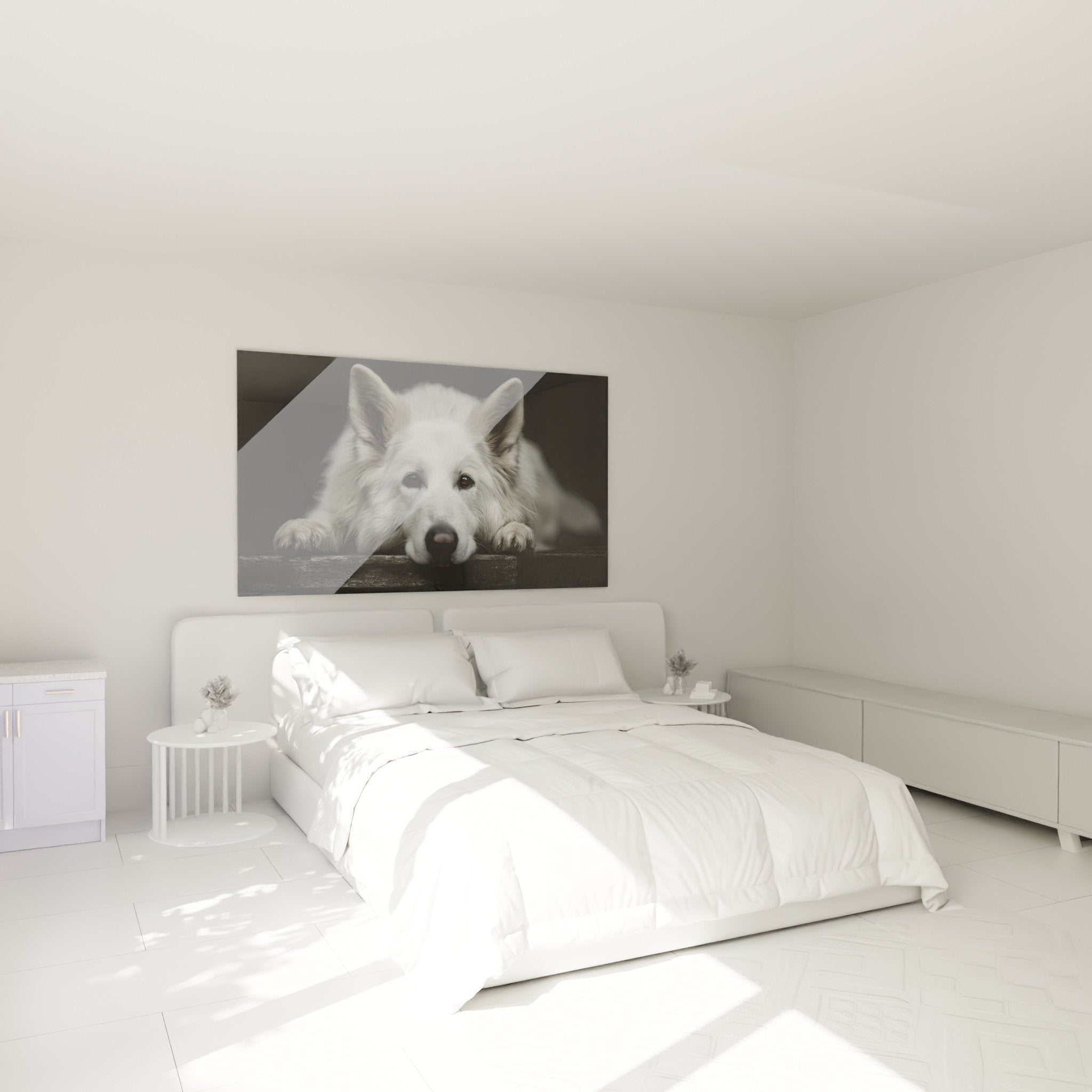 Tableau Berger Blanc Suisse noir et blanc decore chambre moderne ambiance apaisante art canin mural