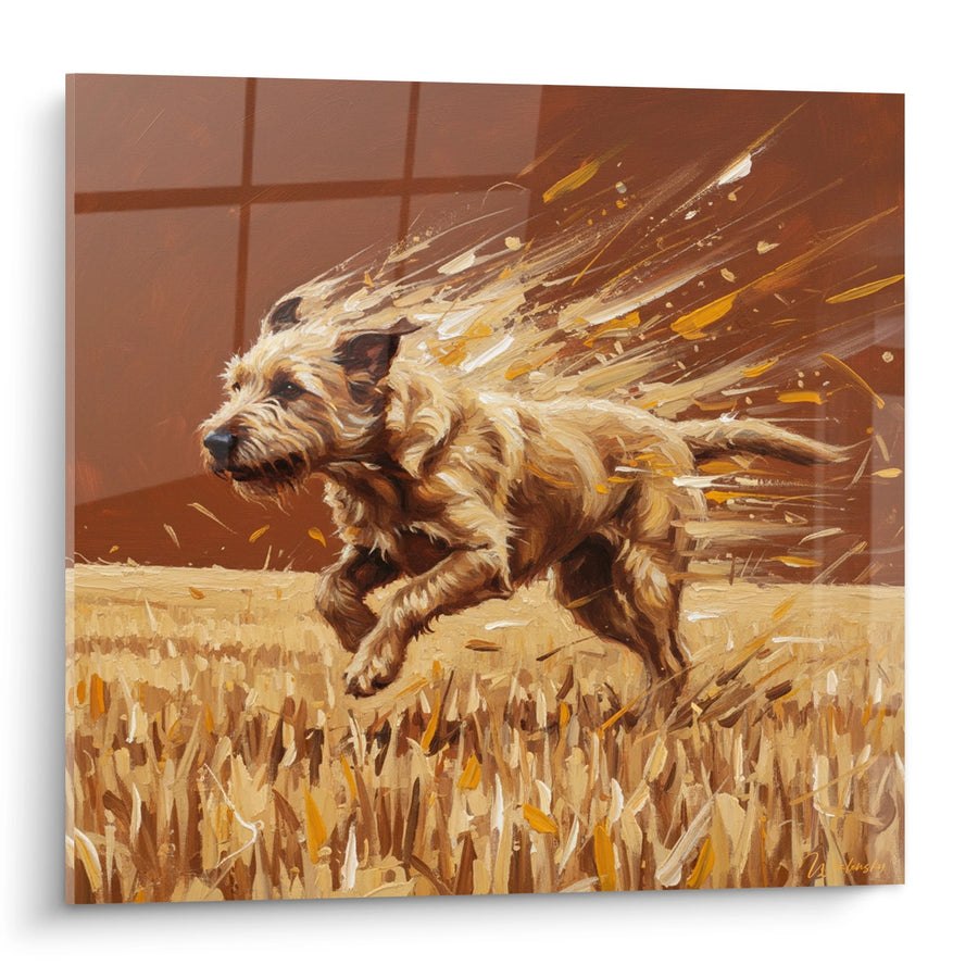 Tableau Chien en Mouvement aux Tons Dorés - Élan Sauvage - Edition Berger Picard