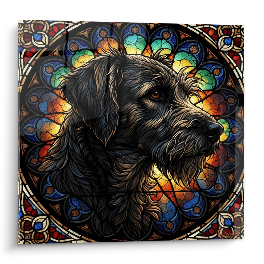 Tableau Chien aux Poils Noirs dans Rosace de Vitrail - Portrait Mystique - Edition Berger Picard