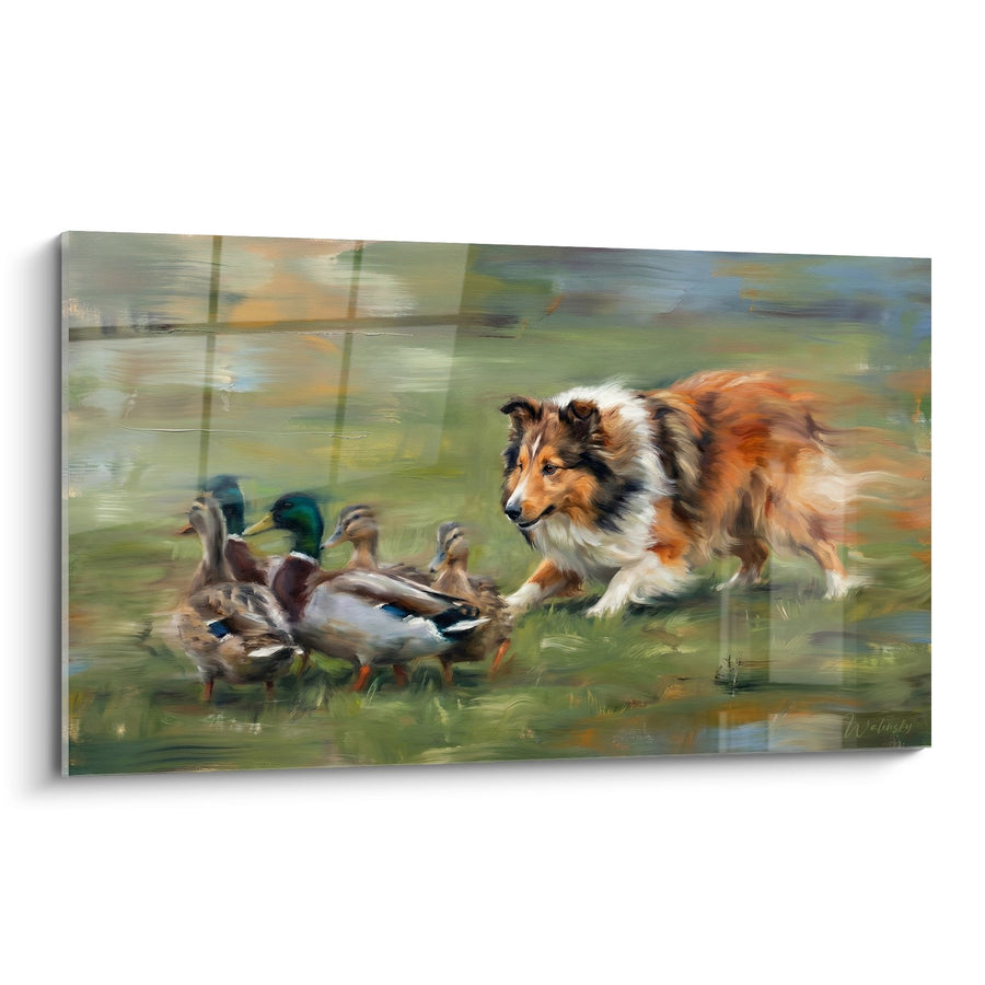 Tableau Berger des Shetland Poursuivant des Canards - Scène de Chasse Dynamique - Edition Berger des Shetland