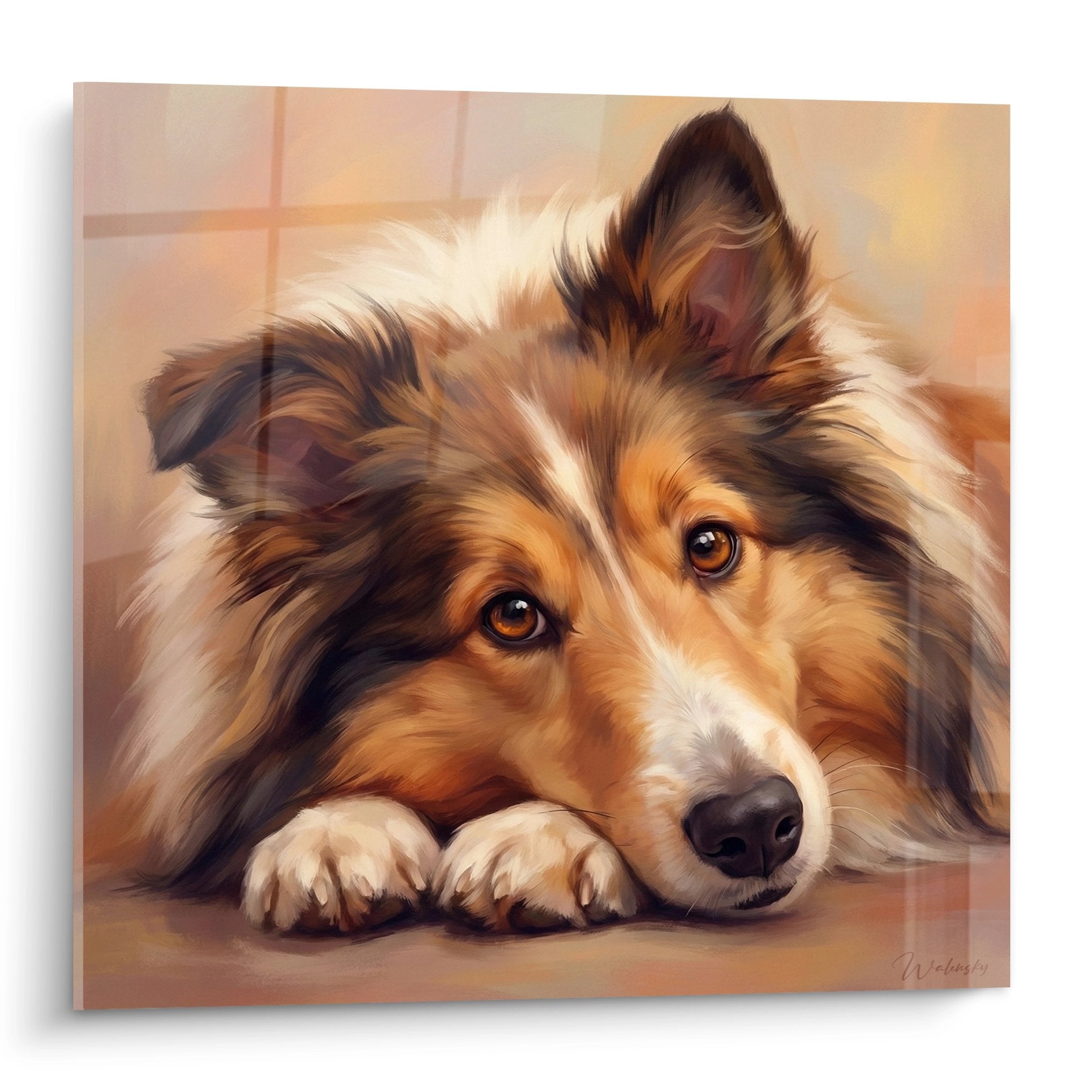 Tableau berger des shetland tricolore allongé aux yeux ambrés sur fond beige et orange