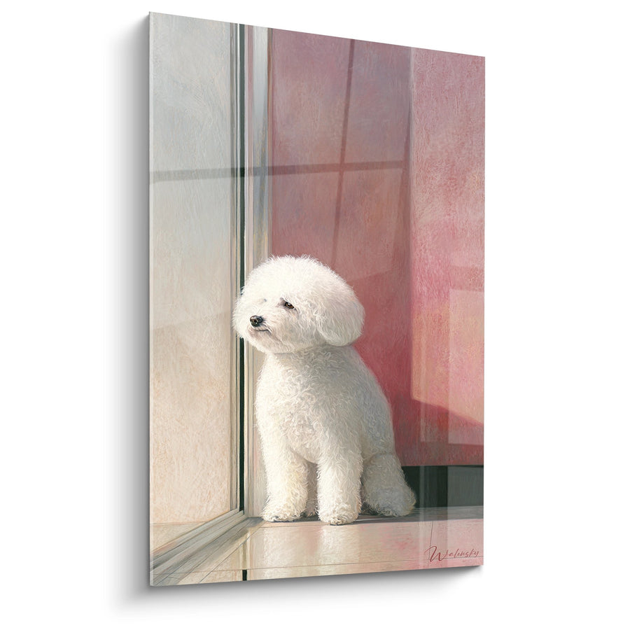 Obraz Bichon Frisé Biały Siedzący przy Oknie Panoramicznym w Różowym Kolorze - Delikatne Światło - Edycja Bichon Frisé