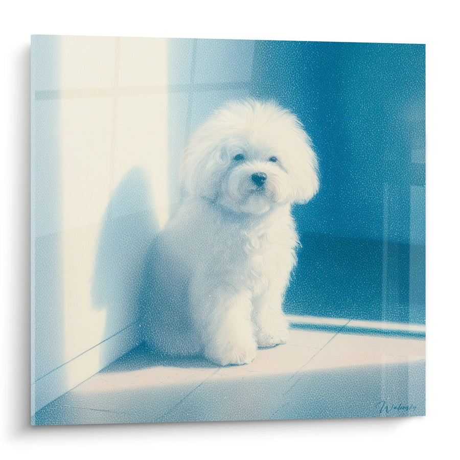 Tableau Bichon Frisé Blanc aux Nuances Bleues - Portrait Élégant - Edition Bichon Frisé