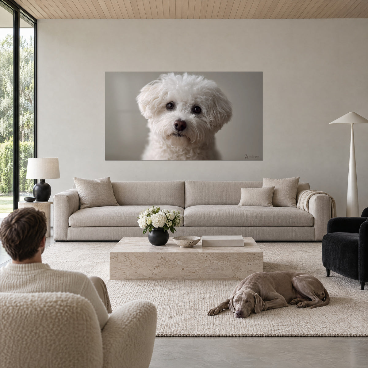 Πίνακας Bichon Frisé με κρεμ τρίχωμα και σκούρα μάτια, καφέ μουσούδα, ταупe φόντο, πάνω από καναπέ σε φωτεινό σαλόνι