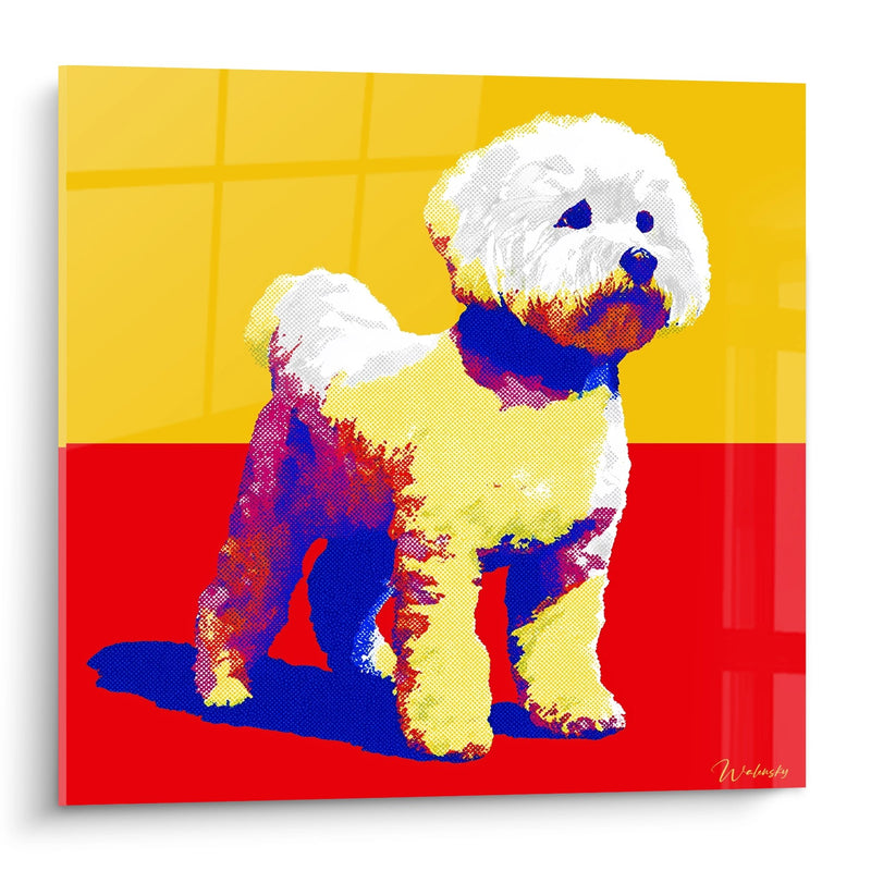 Quadro Cane Bianco ai Contrasti Colorati - Arte Moderna Contrastata - Edizione Bichon Frisé