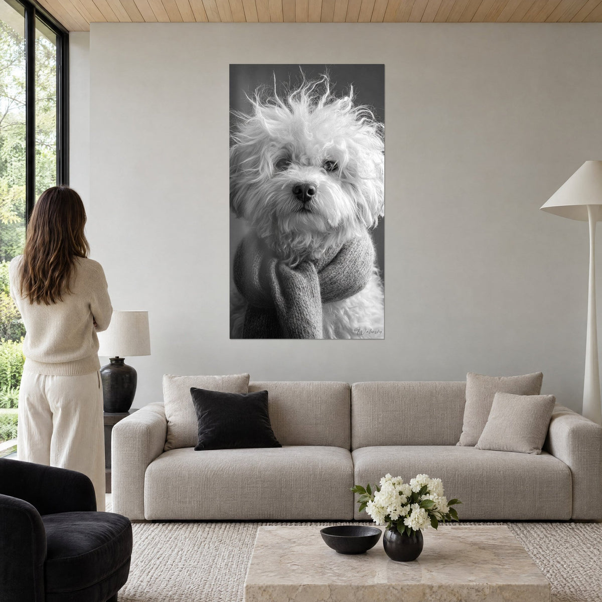 Quadro bichon frisé dal pelo arruffato bianco e grigio, sciarpa lavorata a maglia intorno al collo, donna di spalle, sopra un divano in un soggiorno luminoso