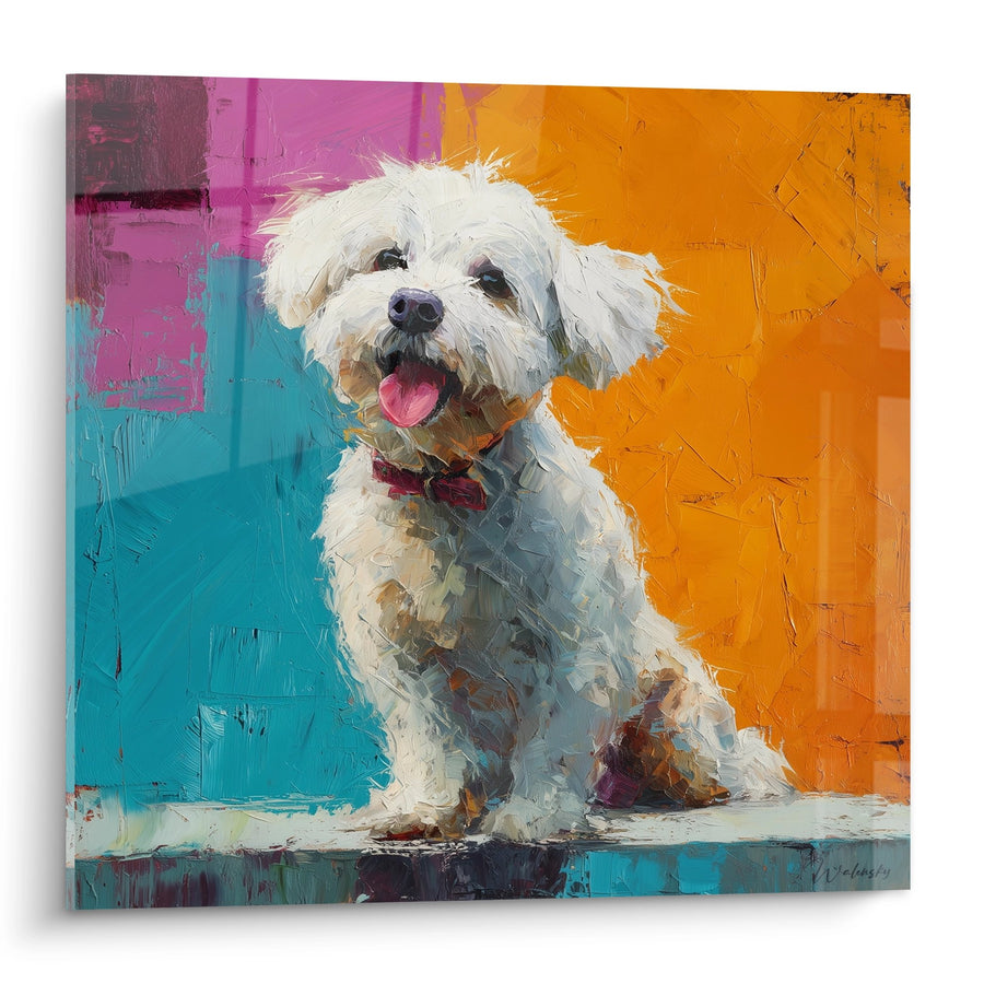 Tableau Chien Blanc sur Fond Coloré - Portrait Expressif - Edition Bichon Havanais