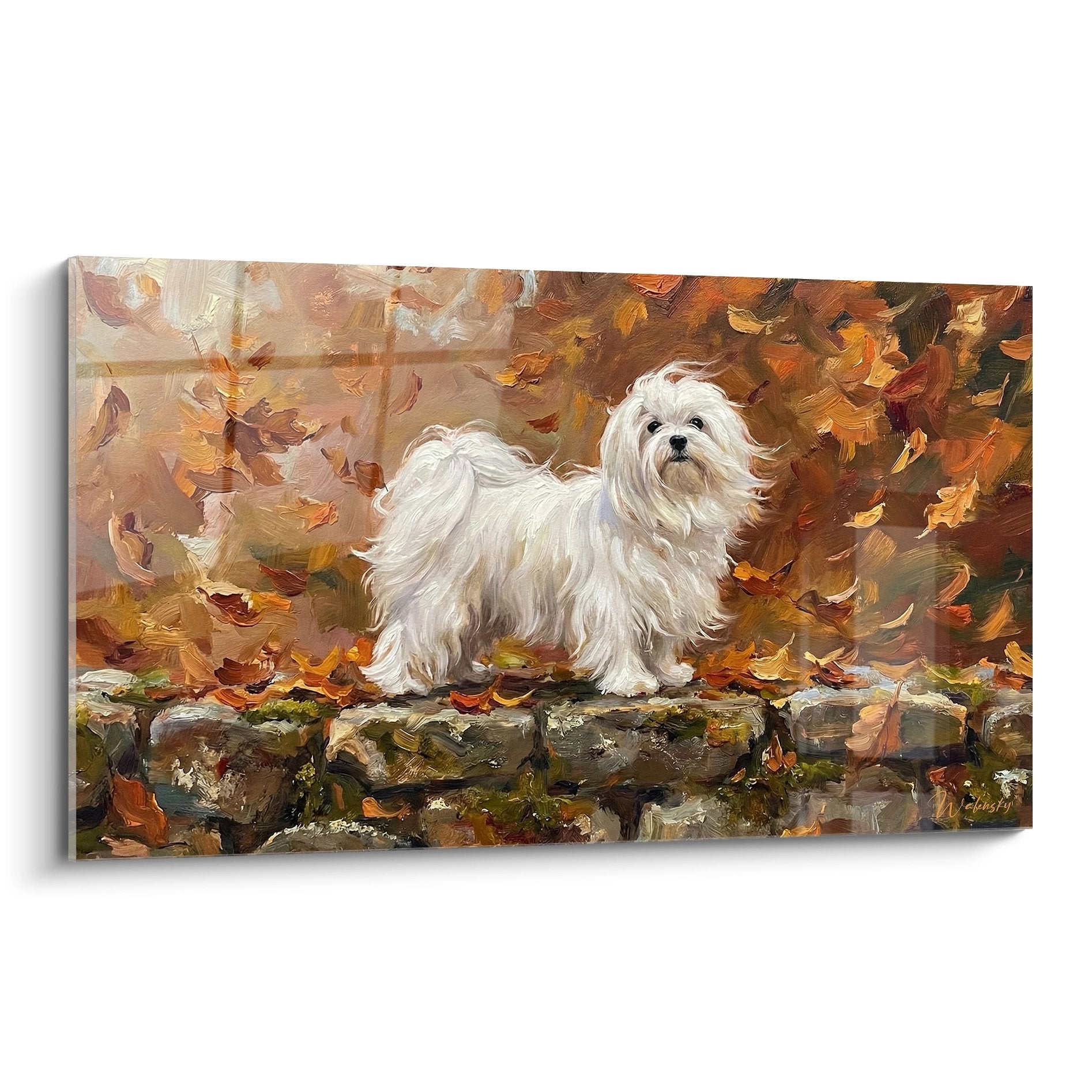Tableau Bichon Maltais blanc sur muret pierre automne feuillage doré peinture impressionniste art canin décoratif