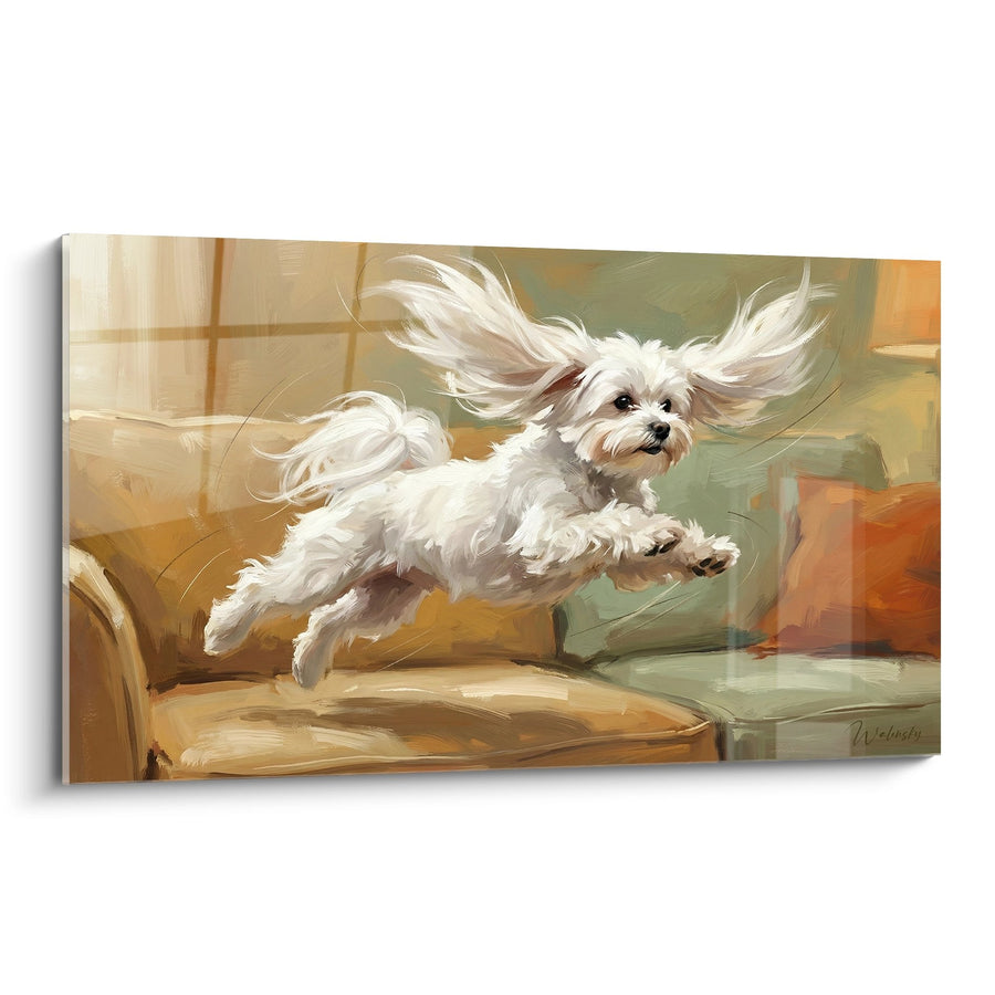 Schilderij van een Maltese Bichon in Beweging op een Bank - Pure Energie - Editie Maltese Bichon