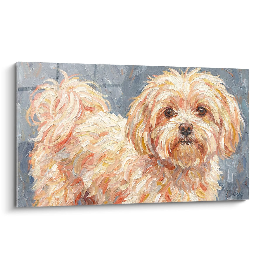 Tableau Bichon Maltais Poil Doré aux Reflets Cuivrés - Portrait Expressif - Edition Bichon Maltais
