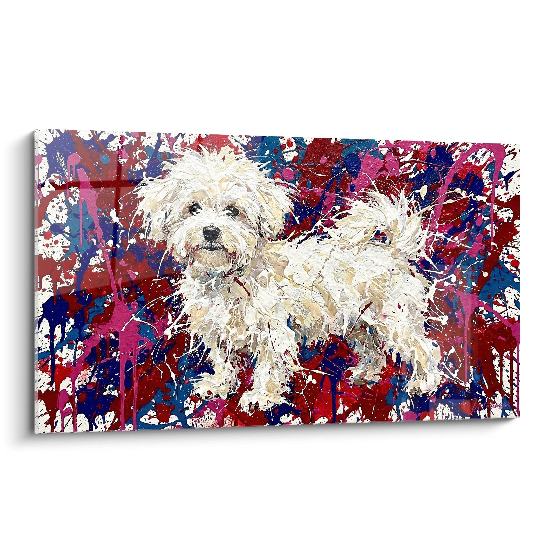 Tableau mural Bichon Maltais sur fond d'éclaboussures colorées bordeaux et bleu marine art moderne