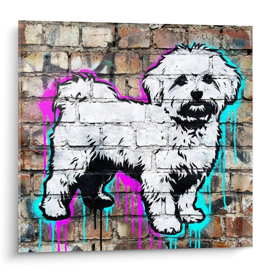 Quadro graffiti Bichon Maltese bianco su muro di mattoni con colature rosa e turchese street art