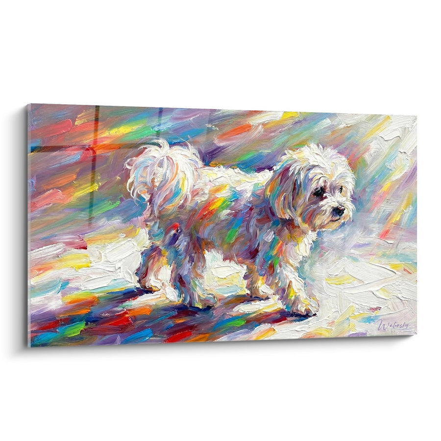 Tableau Bichon Maltais aux Reflets Arc-en-ciel - Explosion de Couleurs - Edition Bichon Maltais