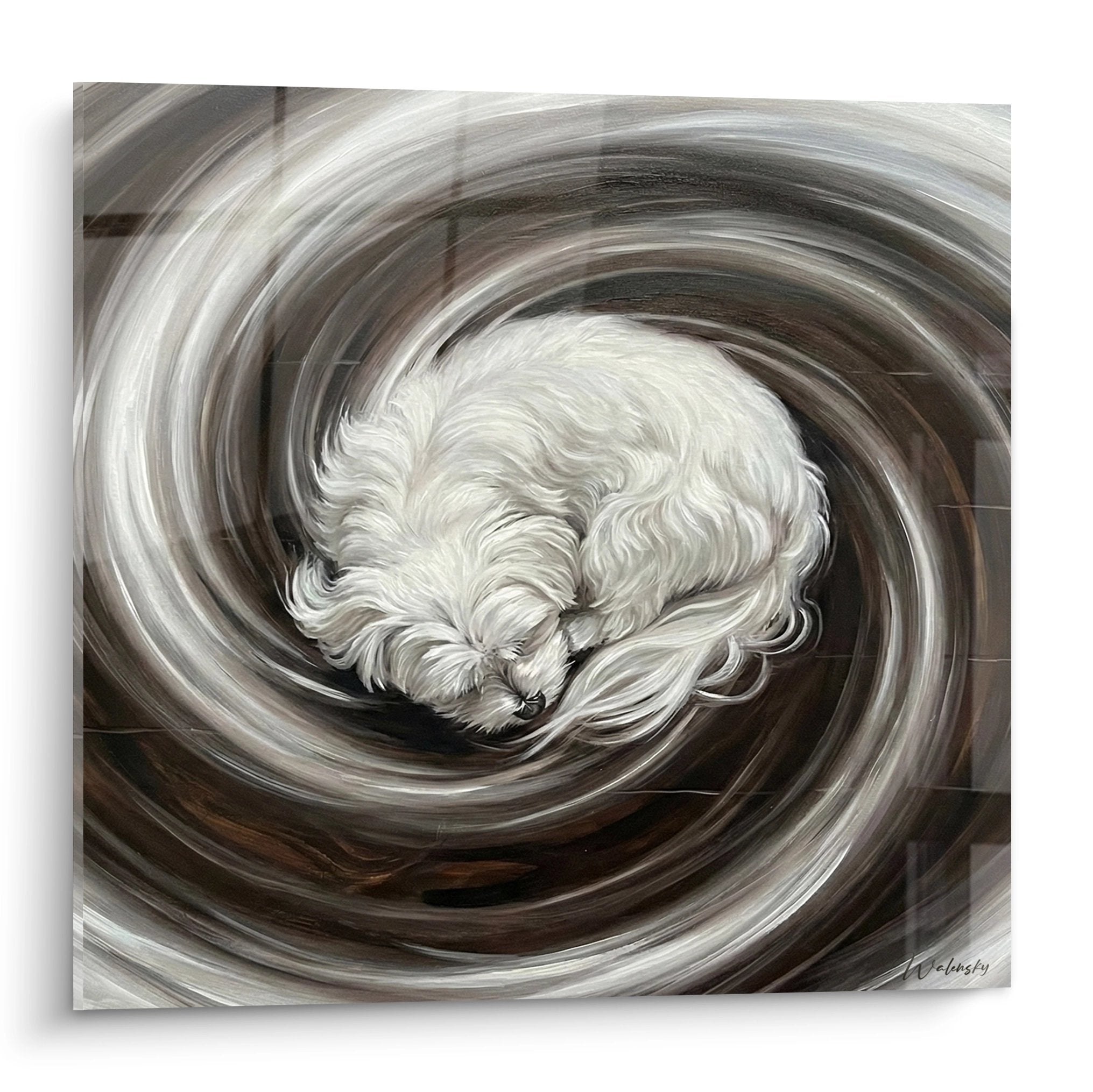 Tableau artistique Bichon Maltais blanc dans spirale tourbillonnante grise et brune, art contemporain mouvement