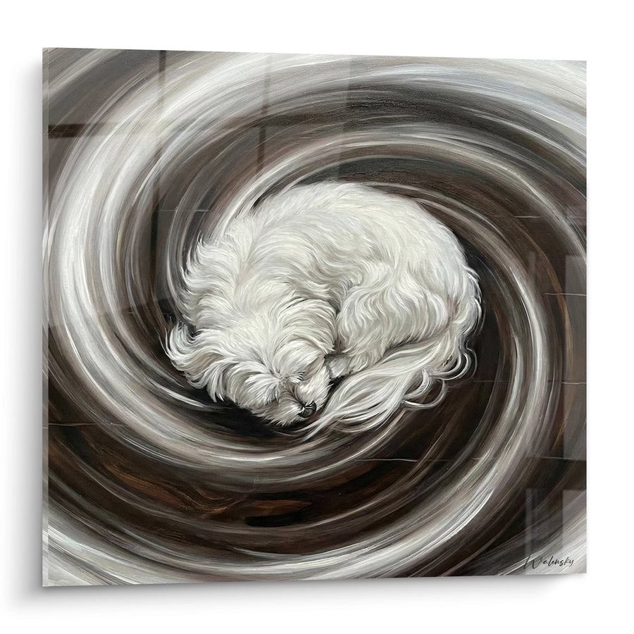 Bichon Maltais in Spirale Wervelwind - Poëtische Beweging - Bichon Maltais Editie