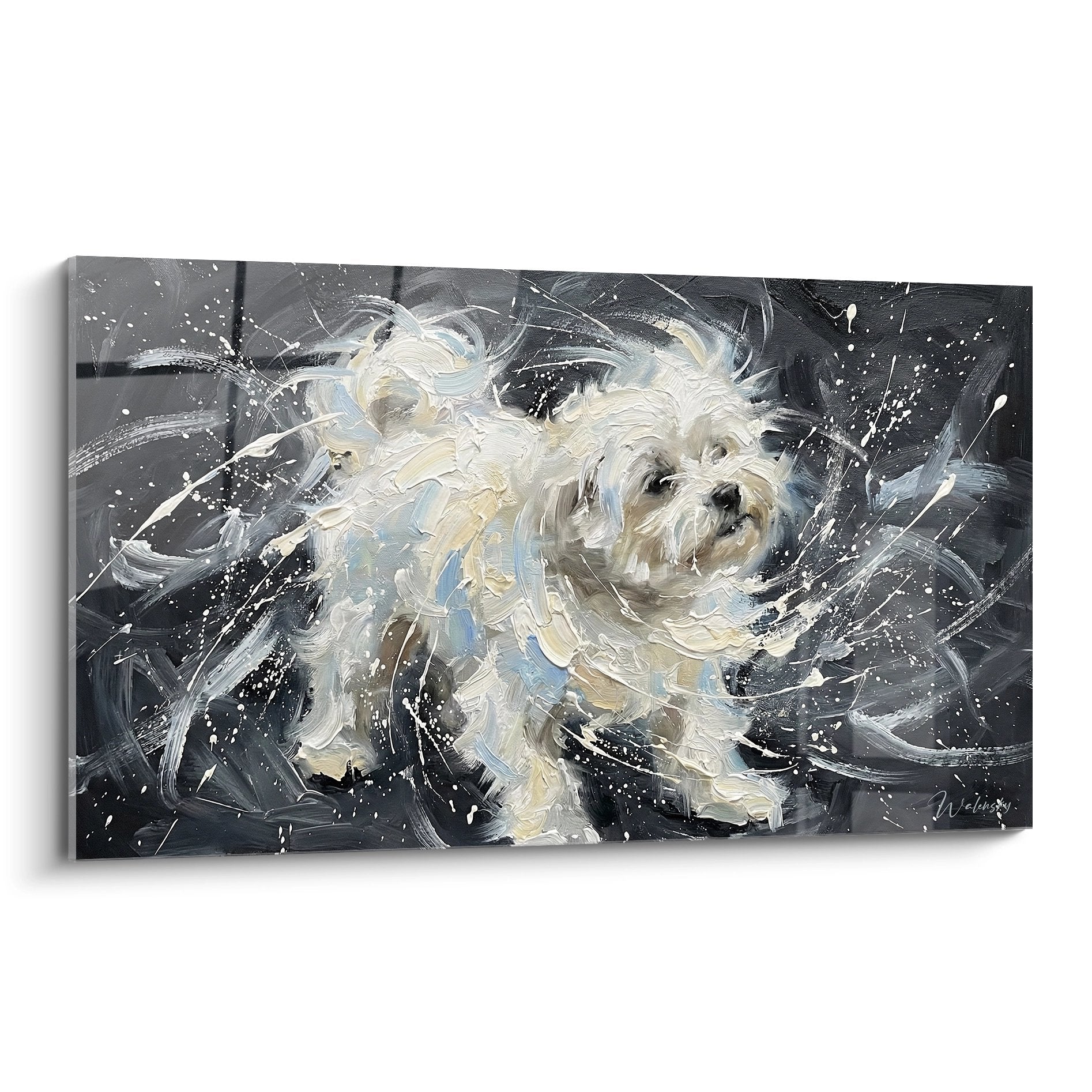 Tableau moderne Bichon Maltais blanc sur fond gris anthracite avec tourbillons artistiques et eclaboussures