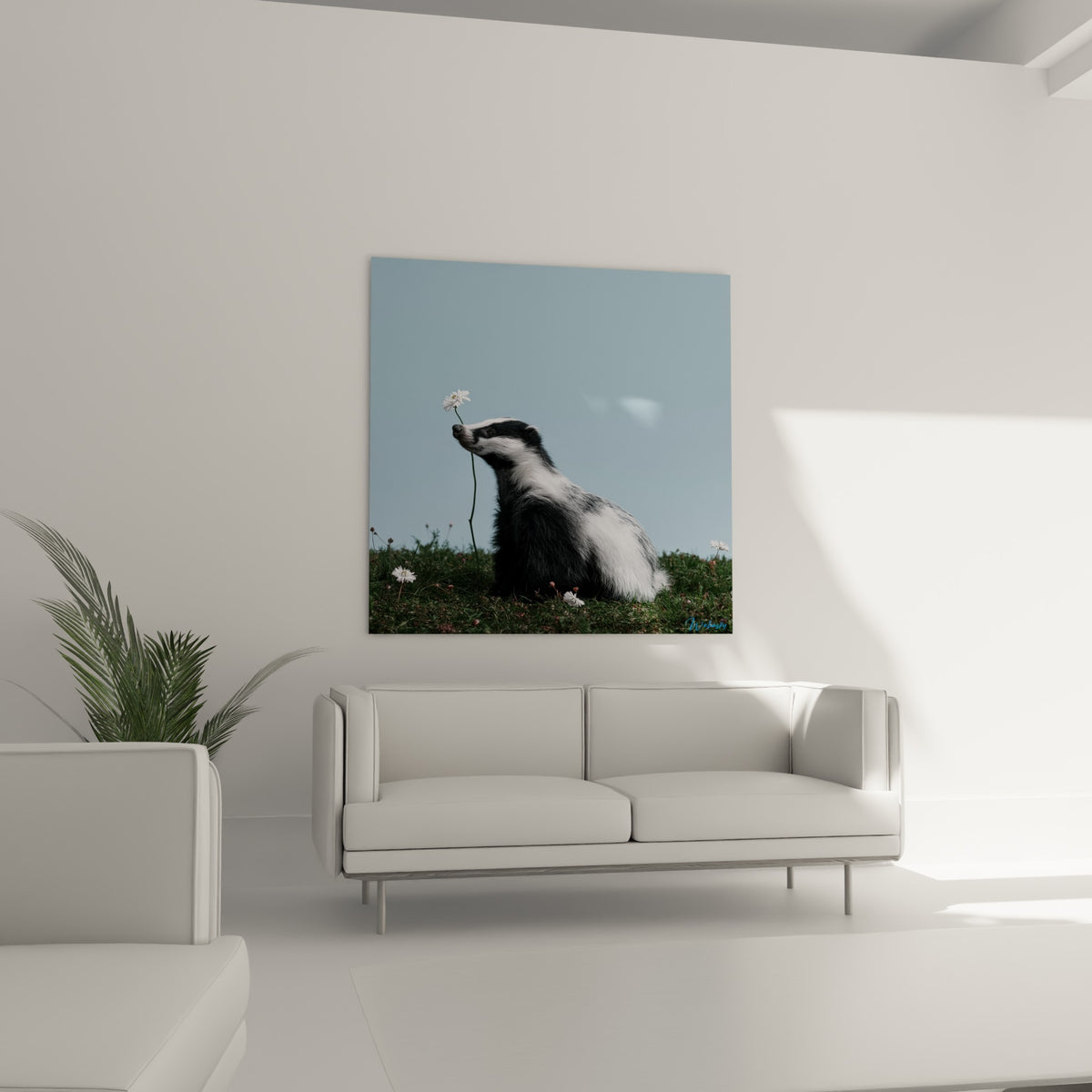 Silhouette du blaireau au pelage anthracite et blanc parmi l'herbe verte, au-dessus d'un canapé dans un salon lumineux