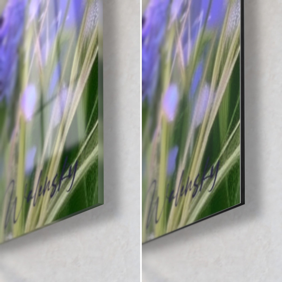 Tableau blaireau en peinture, coin bas droit : verre acrylique brillant à gauche, alu Dibond mat à droite, herbes vertes et fleurs lilas, tranche 3 mm