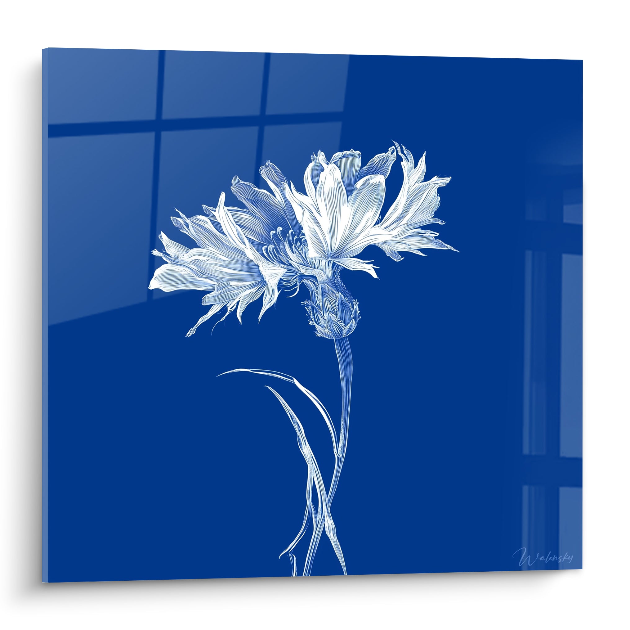 Bleuet blanc dessiné en fines lignes sur fond bleu marine profond et brillant