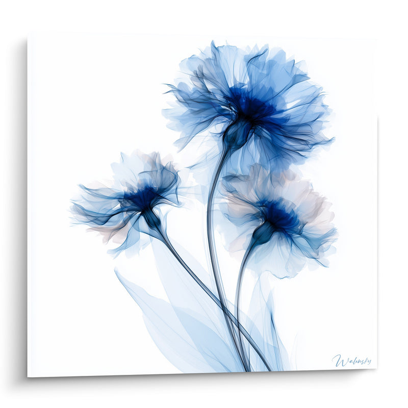 Tableau Bleuets bleu marine et blanc translucides - Souffle de brume - Edition Bleuet