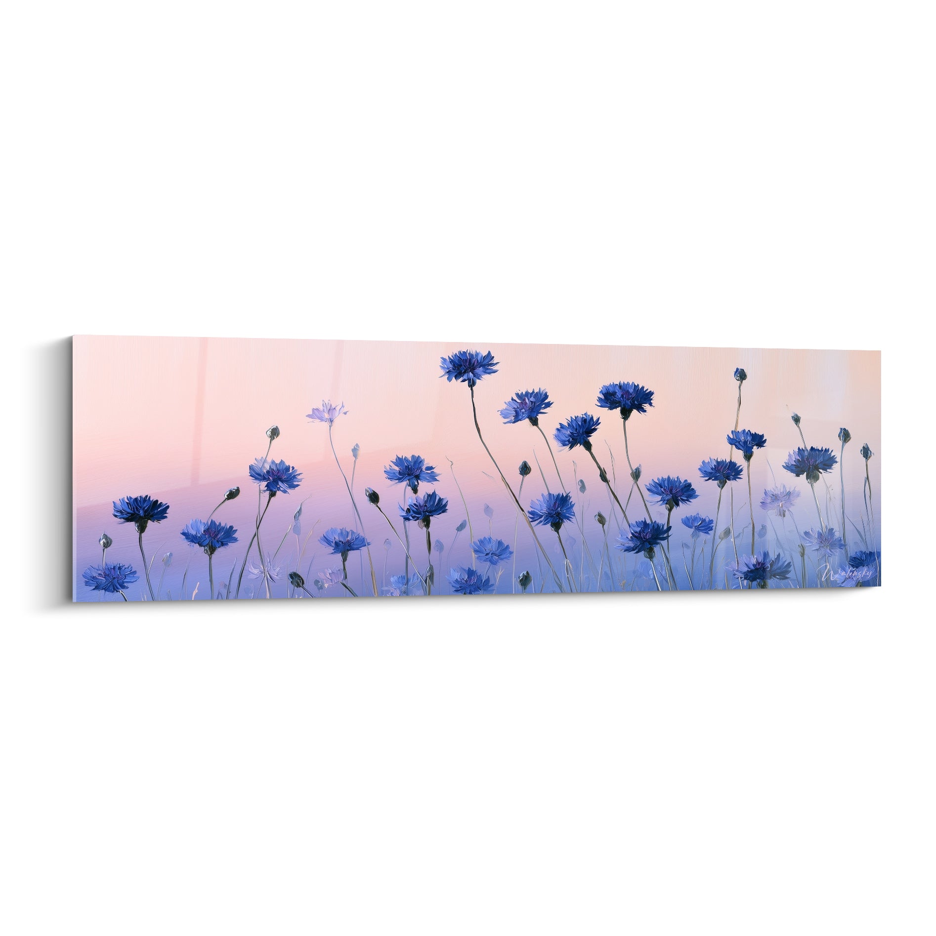Bleuets bleu marine dressés sur fond rose poudré et lavande, style aquarelle délicat.