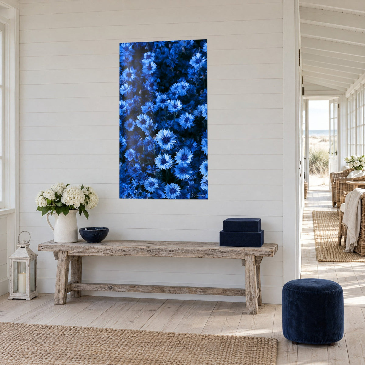 Quadro campo di fiordalisi blu reale con petali frangiati su sfondo blu navy, vista di tre quarti in una casa sul mare