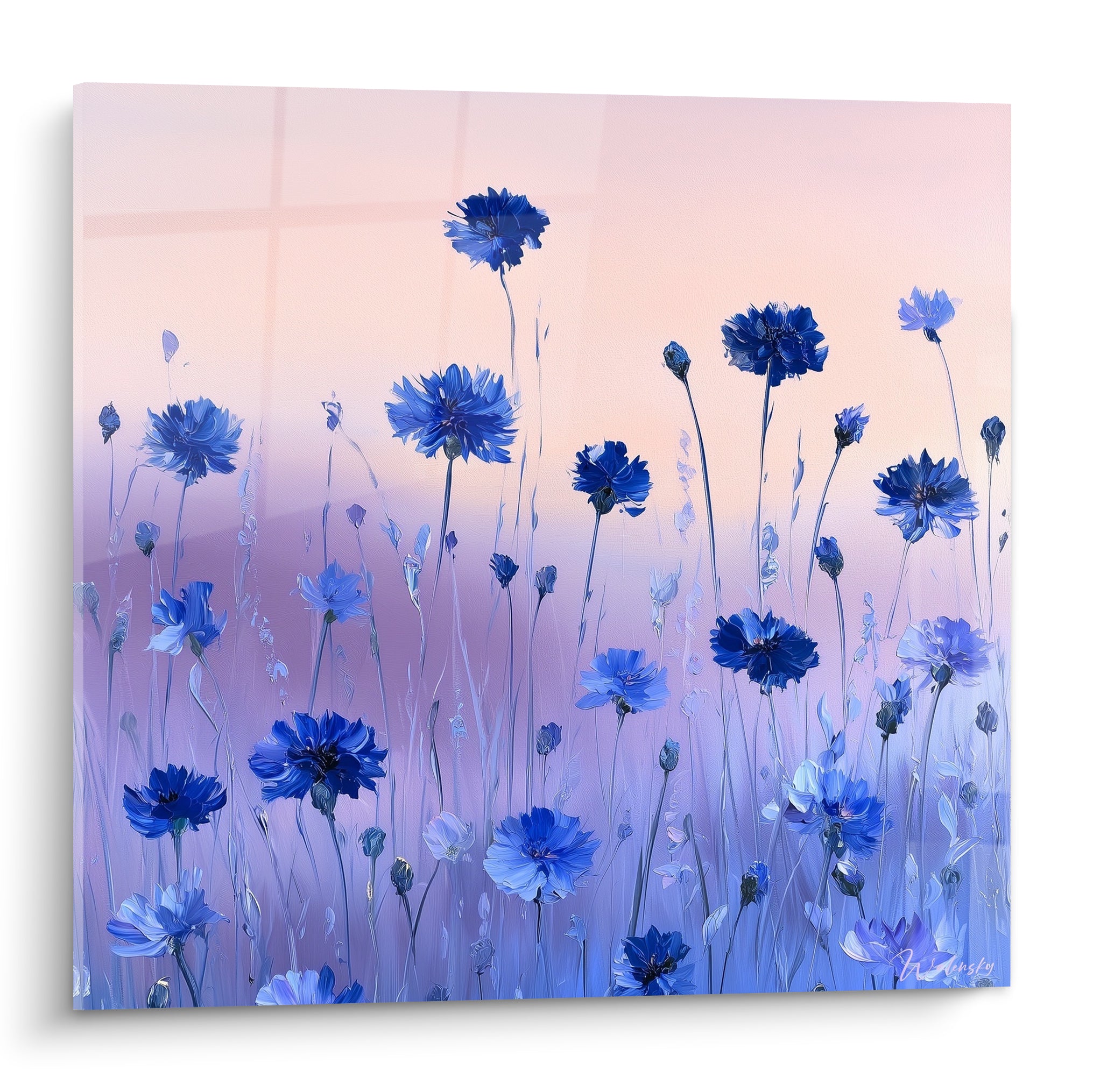 Bleuets bleu roi et bleu marine dressés sur fond rose pâle et lavande dégradé