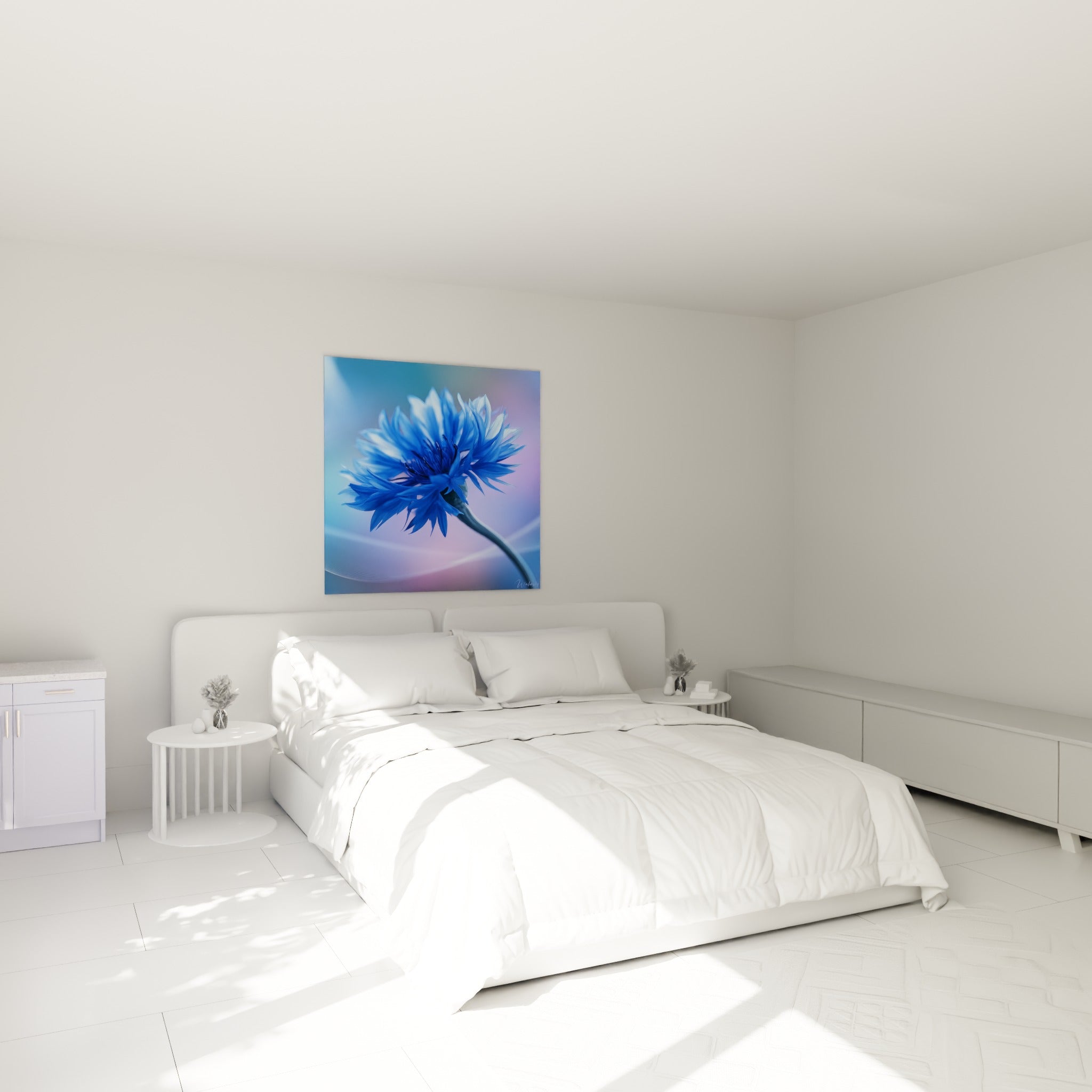 Fleur de bleuet bleue et mauve, tige courbée, au-dessus d'un lit dans une chambre claire