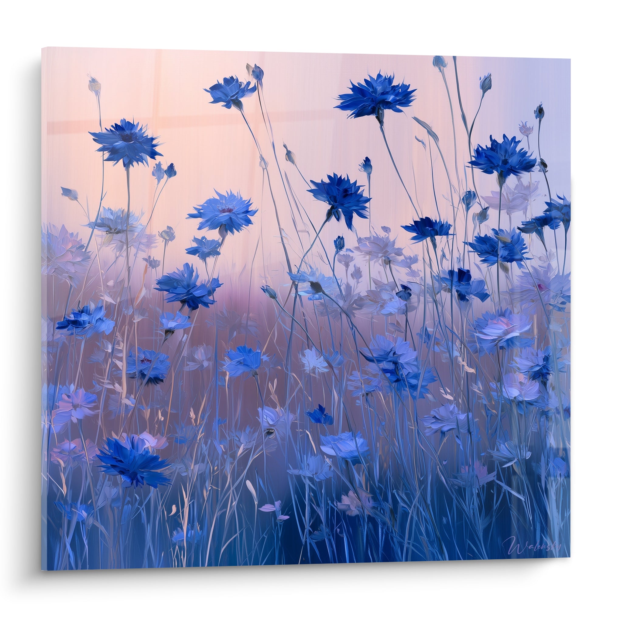 Bleuets bleu marine et rose poudré dressés en champ, style aquarelle sur fond dégradé lumineux