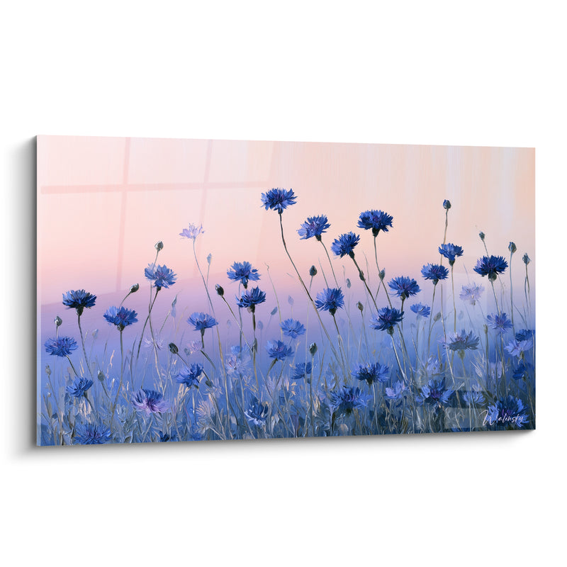Tableau Champ de bleuets bleu et rose pêche sous ciel dégradé - Ombres de fenêtre - Edition Bleuet
