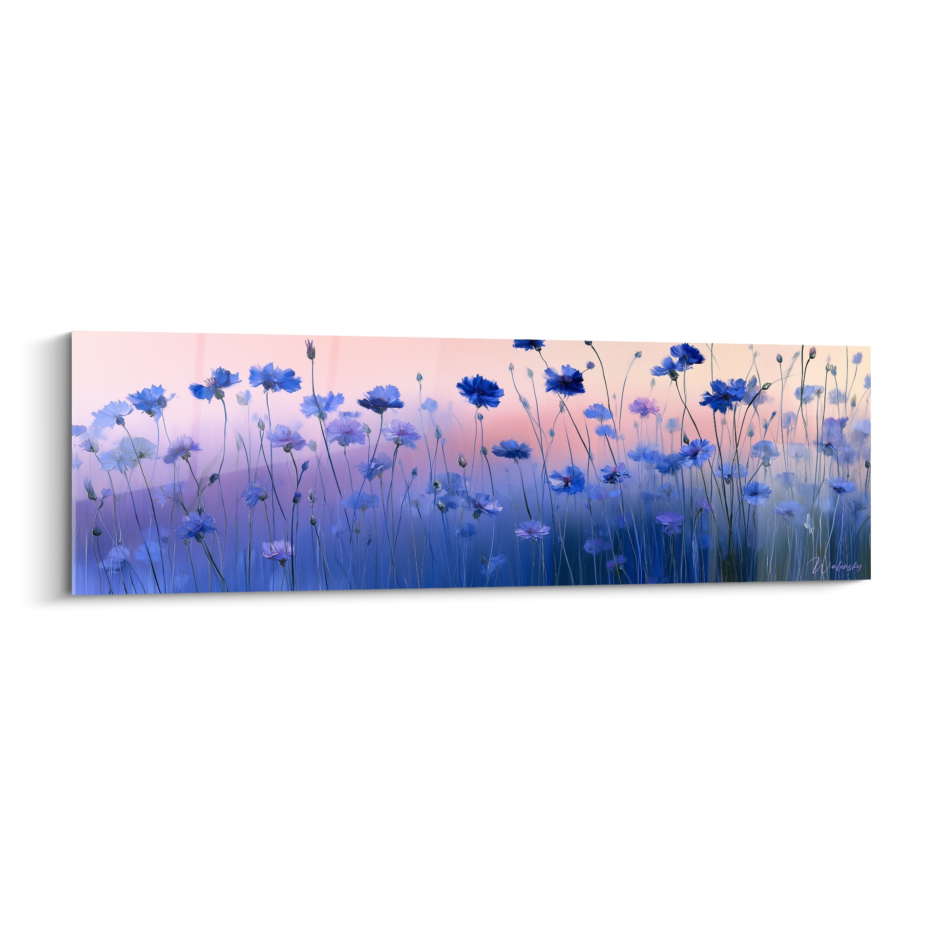 Bleuets bleu marine et violet en fleurs, tiges élancées sur fond rose crépusculaire dégradé