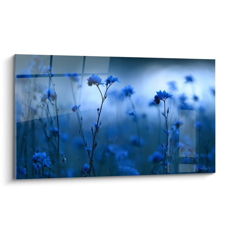Tableau Bleuets sauvages aux teintes indigo brumeuses - Brume du soir - Edition Bleuet
