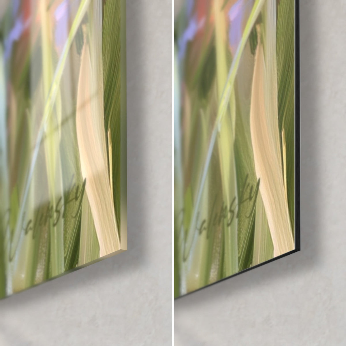 Tableau champ de bleuets, tiges vert tendre floues et reflets, verre acrylique brillant et alu Dibond mat, tranche de 3 mm