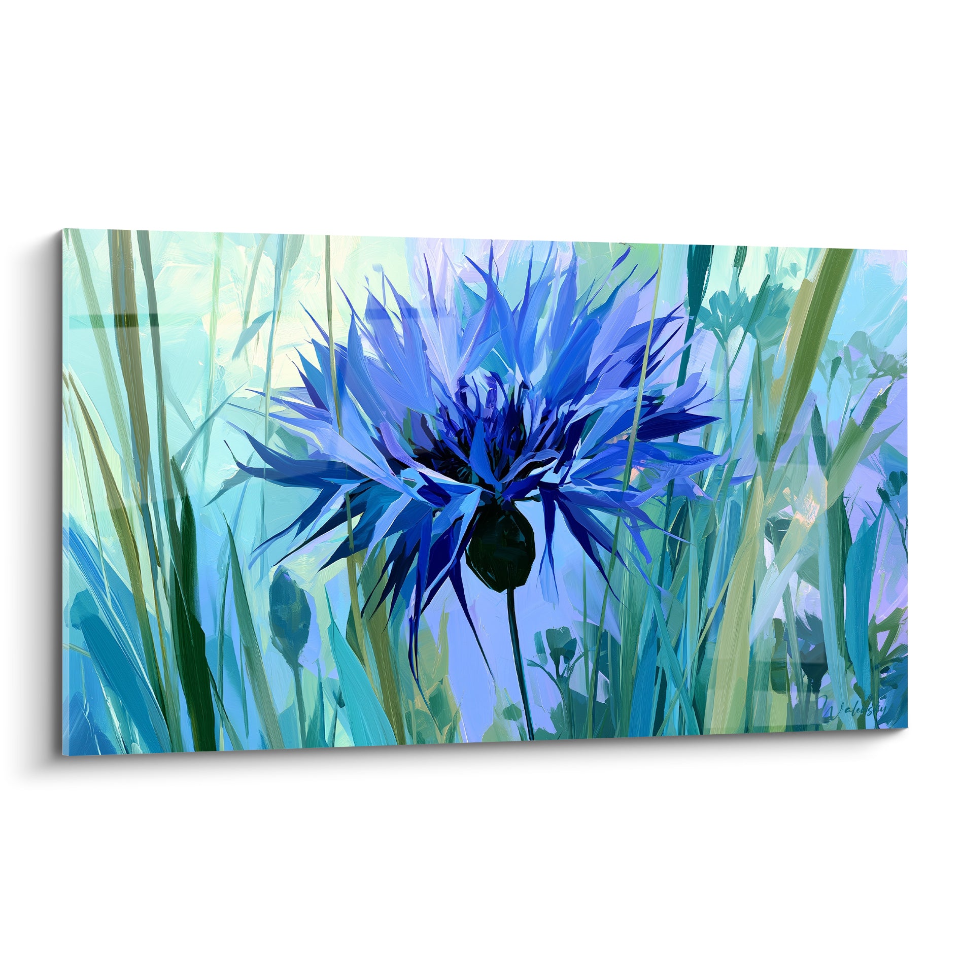 Bleuet aux pétales bleu roi déployés sur fond vert menthe et touches turquoise vibrantes