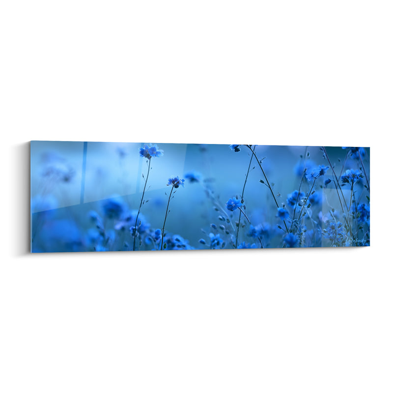 Tableau Bleuets sauvages bleu marine et azur - Murmure nocturne - Edition Bleuet