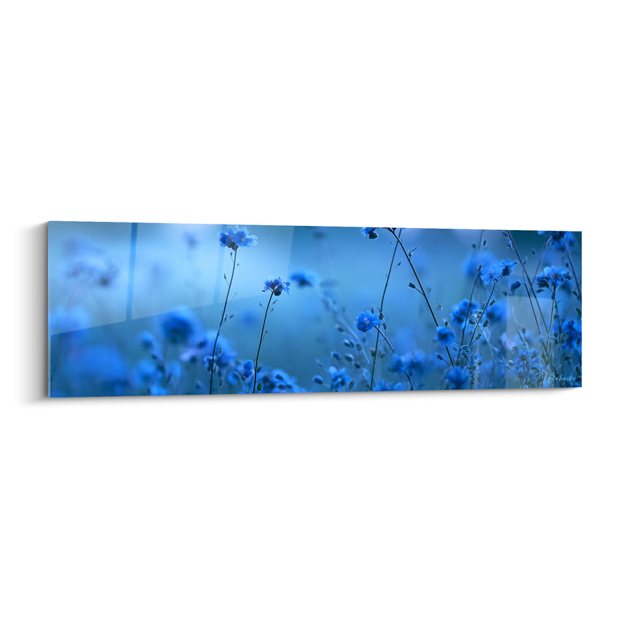Bilder Wildblumen Blaubeeren Marineblau und Azur - Nachtflüstern - Blauwild Edition