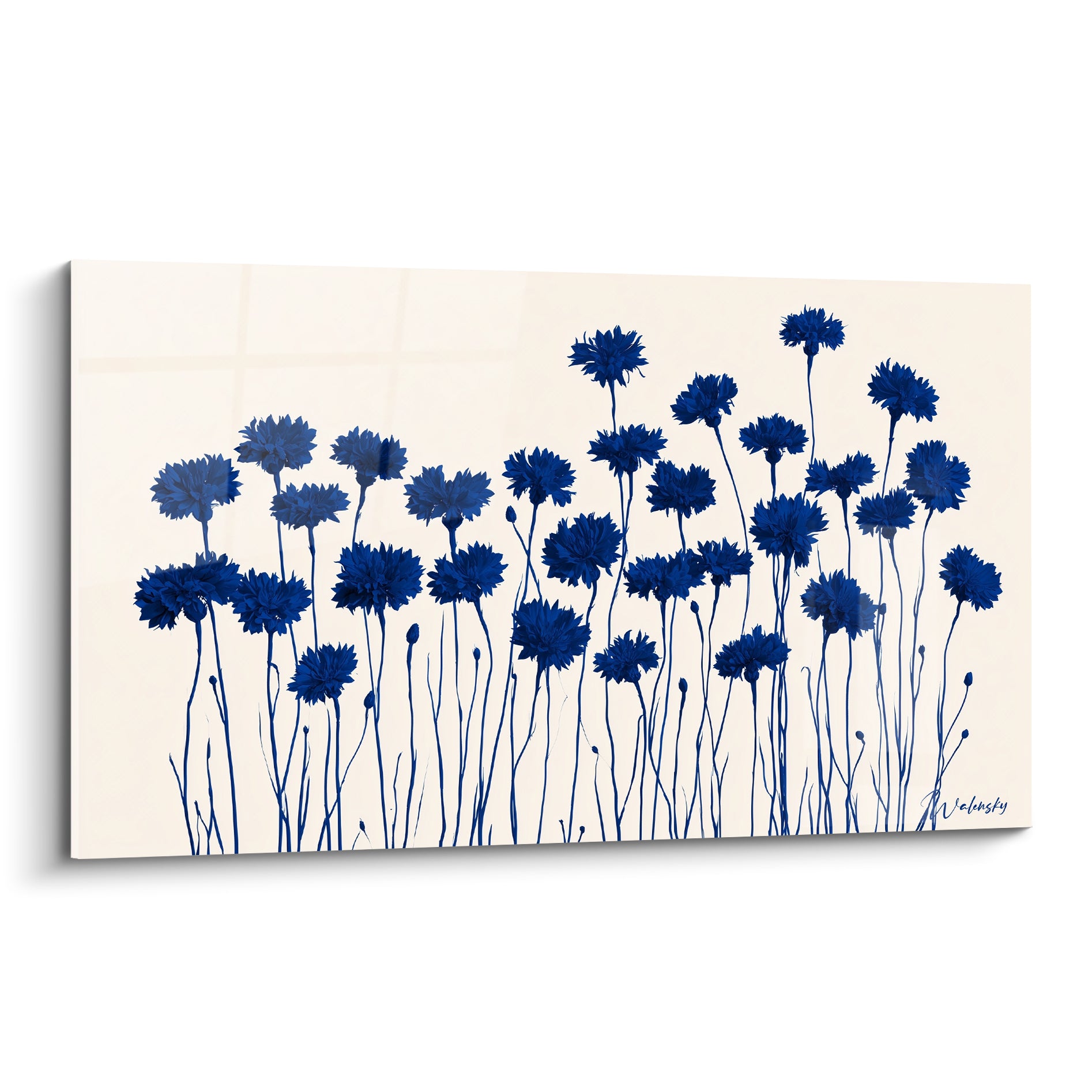 Bleuets bleu marine en fleur, tiges élancées sur fond ivoire, style aquarelle délicat