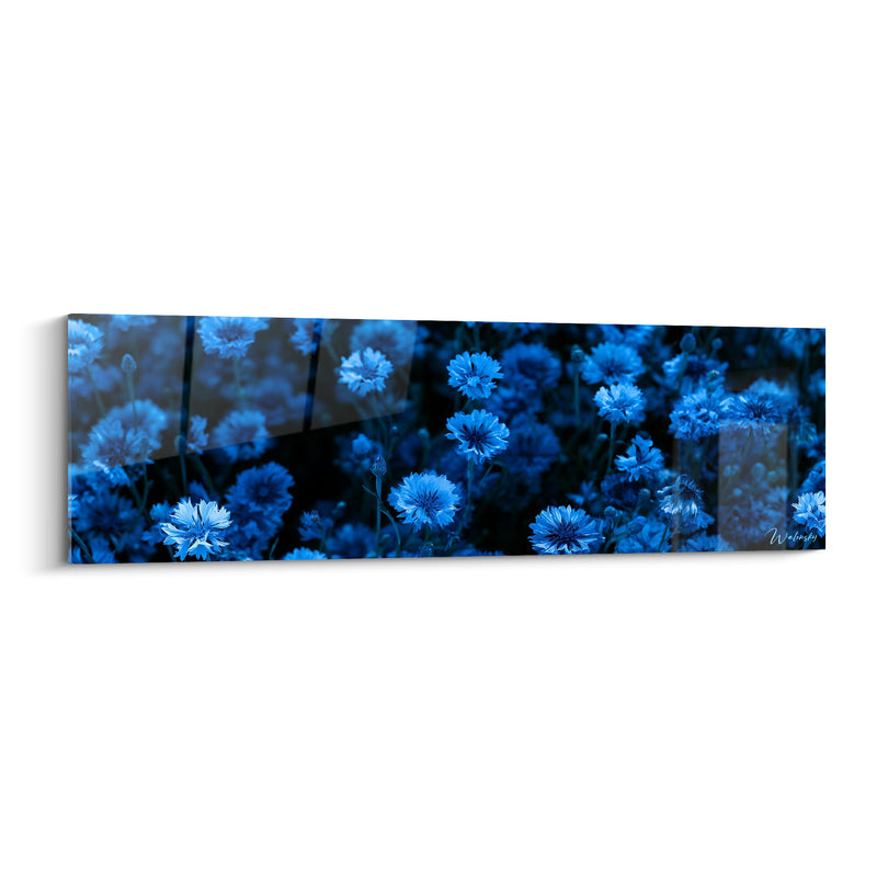 Tableau Bleuets bleu nuit et noir profond - Floraison nocturne - Edition Bleuet
