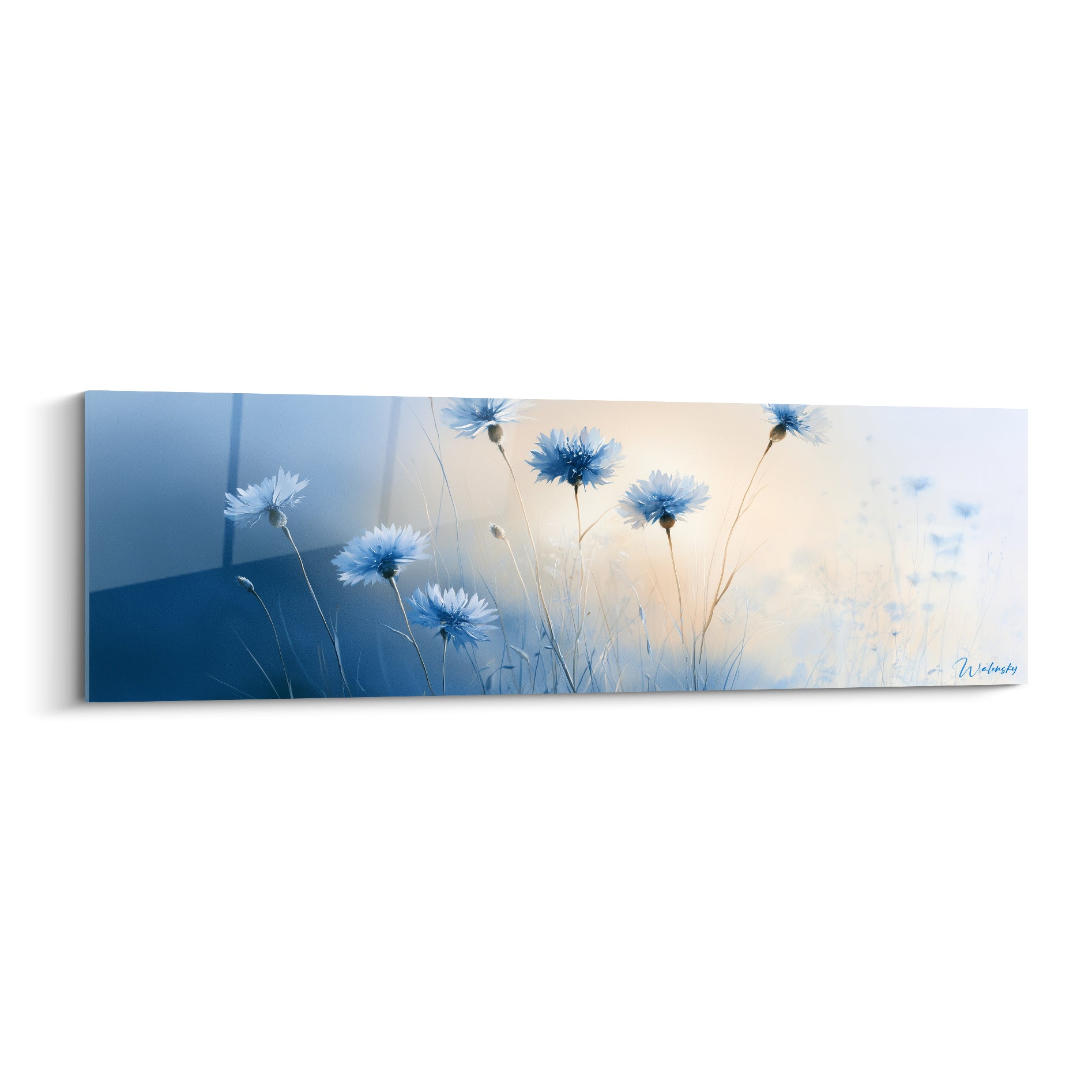 Bleuets bleu pastel et blanc dressés dans une prairie baignée de lumière ocre dorée