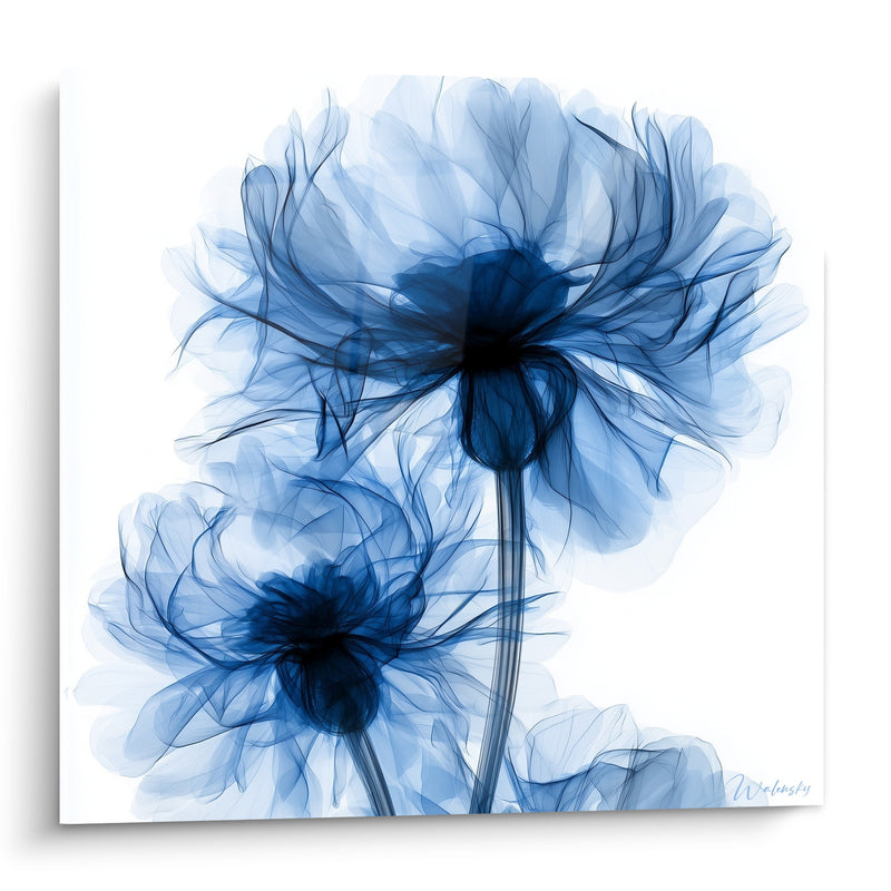 Tableau Fleurs bleu marine sur fond blanc - Souffle diaphane - Edition Bleuet