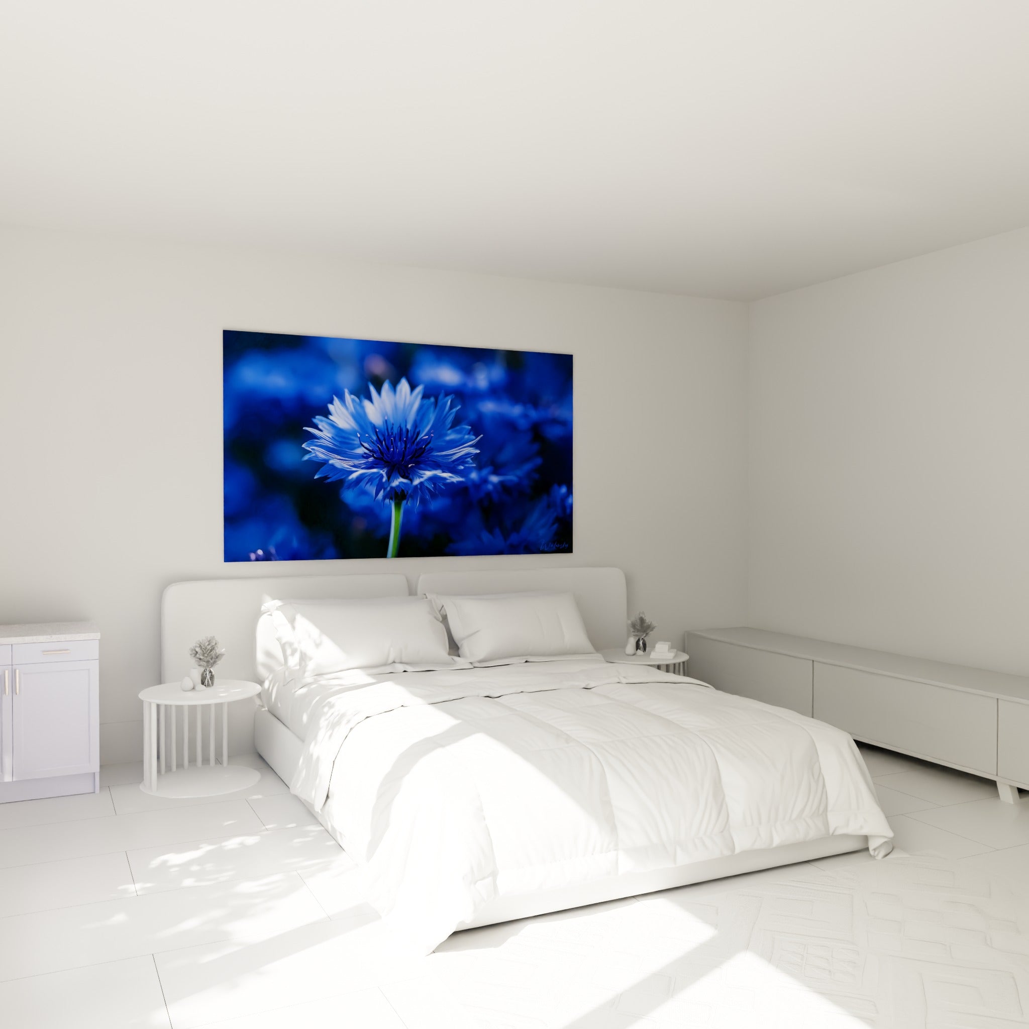 Fleur de bleuet bleu et blanc à pétales effilés, accrochée au-dessus d'un lit dans une chambre claire