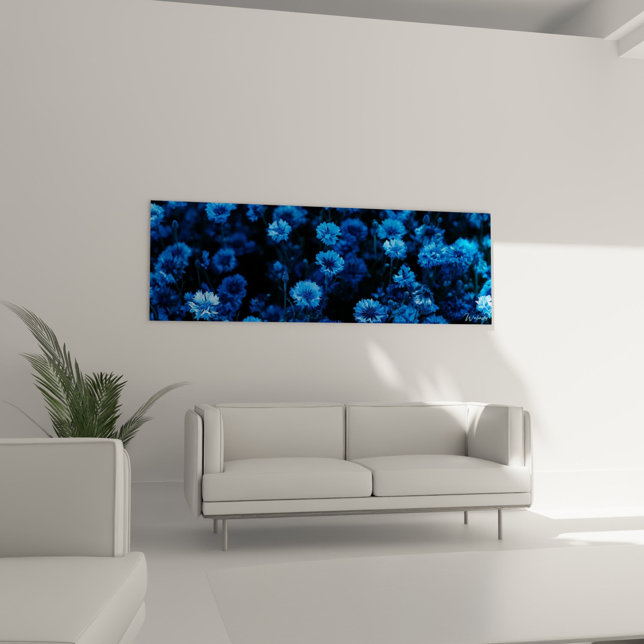 Fleurs de bleuet bleu nuit sur fond anthracite installées au-dessus d'un canapé dans un salon lumineux