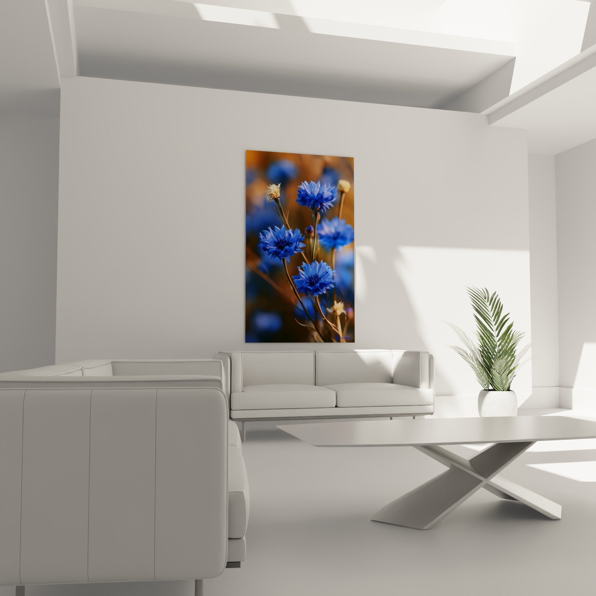Fleurs de bleuet bleu vif et boutons dorés placés au-dessus d'un canapé dans un salon lumineux