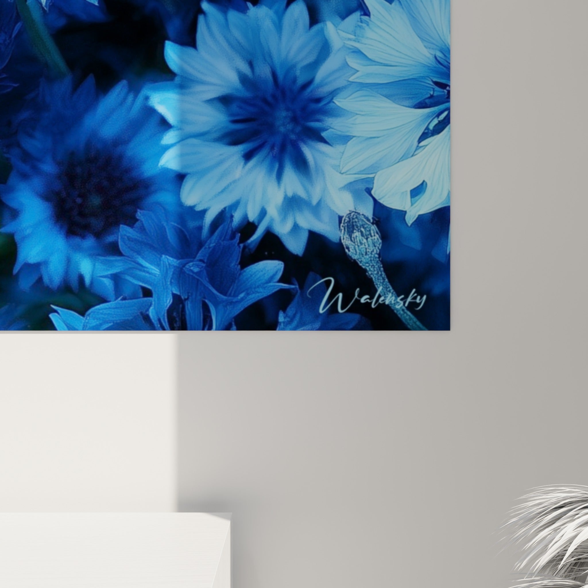 Pétales de bleuet azur et bleu marine vus de près, textures fines et reflets lumineux sur la toile