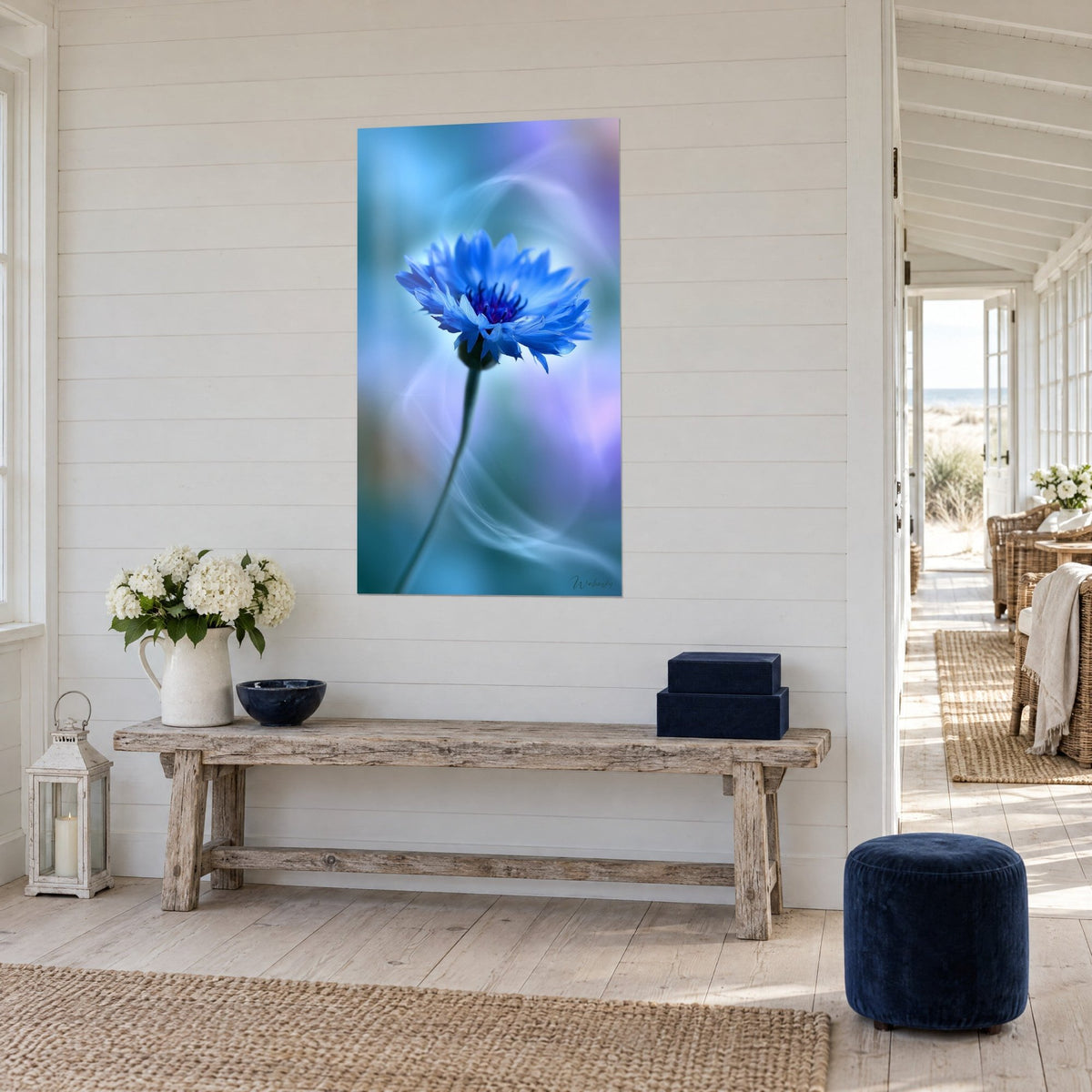 Tableau fleur de centaurée bleu roi, tige verte fine, brume lilas translucide, banc en bois blanchi, maison de bord de mer