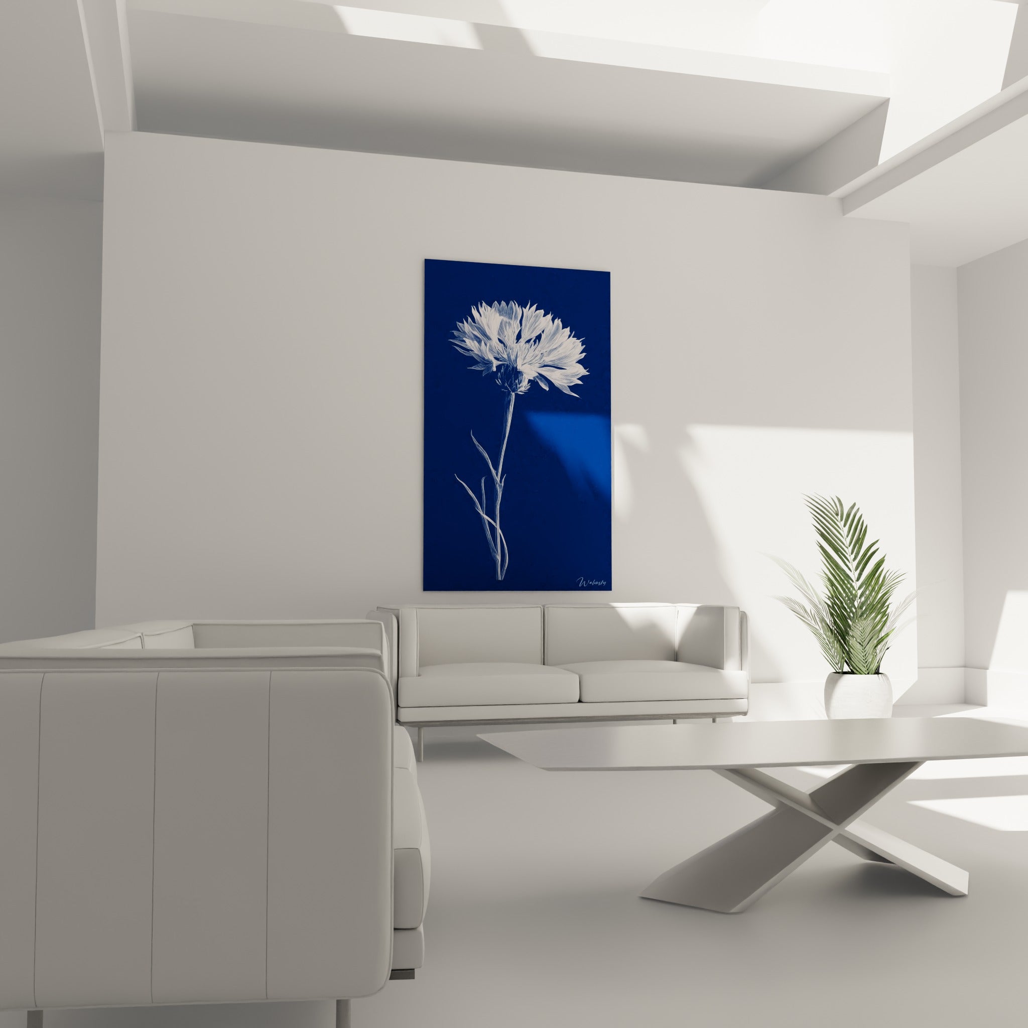 Tige élancée de bleuet blanc sur fond bleu marine, suspendue au-dessus d'un canapé dans un salon lumineux