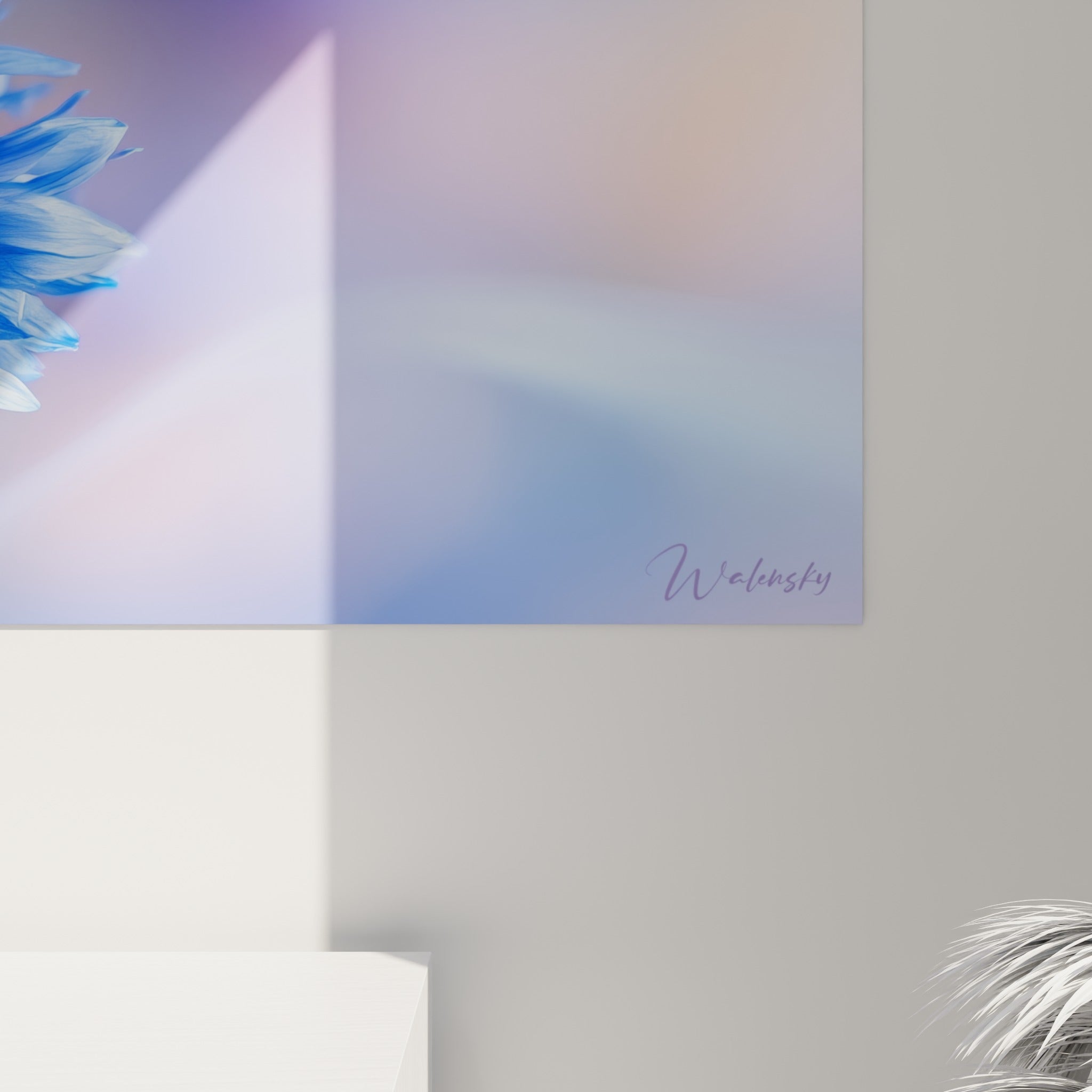 Pétales du bleuet en gros plan révélant les nuances bleu marine et blanc nacré de la toile