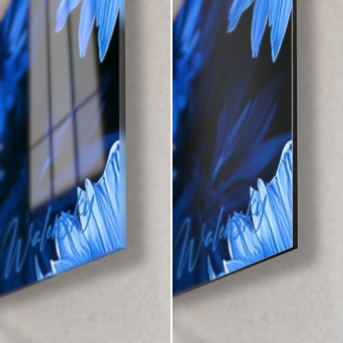 Schilderij azuurblauwe korenbloem, lichte bloemblaadjes op marineblauwe achtergrond, rechtsonder: glanzend glas links, mat Dibond rechts